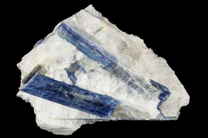 Vibrant Blue Kyanite Crystals In Quartz - Brazil #113489